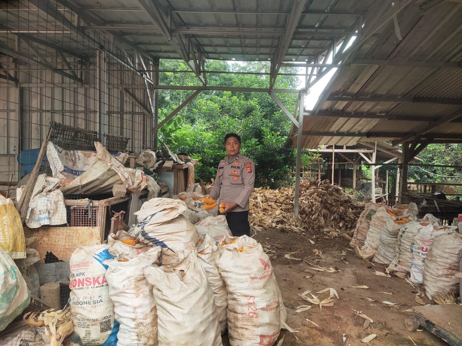 Personel Polsek Cipeundeuy Bantu Warga Pemipihan Jagung, Wujud Nyata Dukungan Ketahanan Pangan Polri