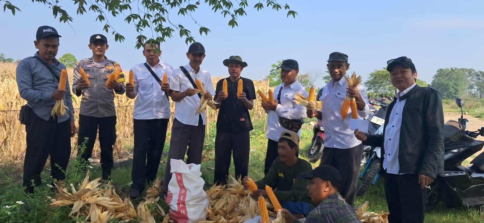 Bhabinkamtibmas Polsek Jajaran Polres Subang Panen Hasil Pertanian, Dukung Program Ketahanan Pangan Polri