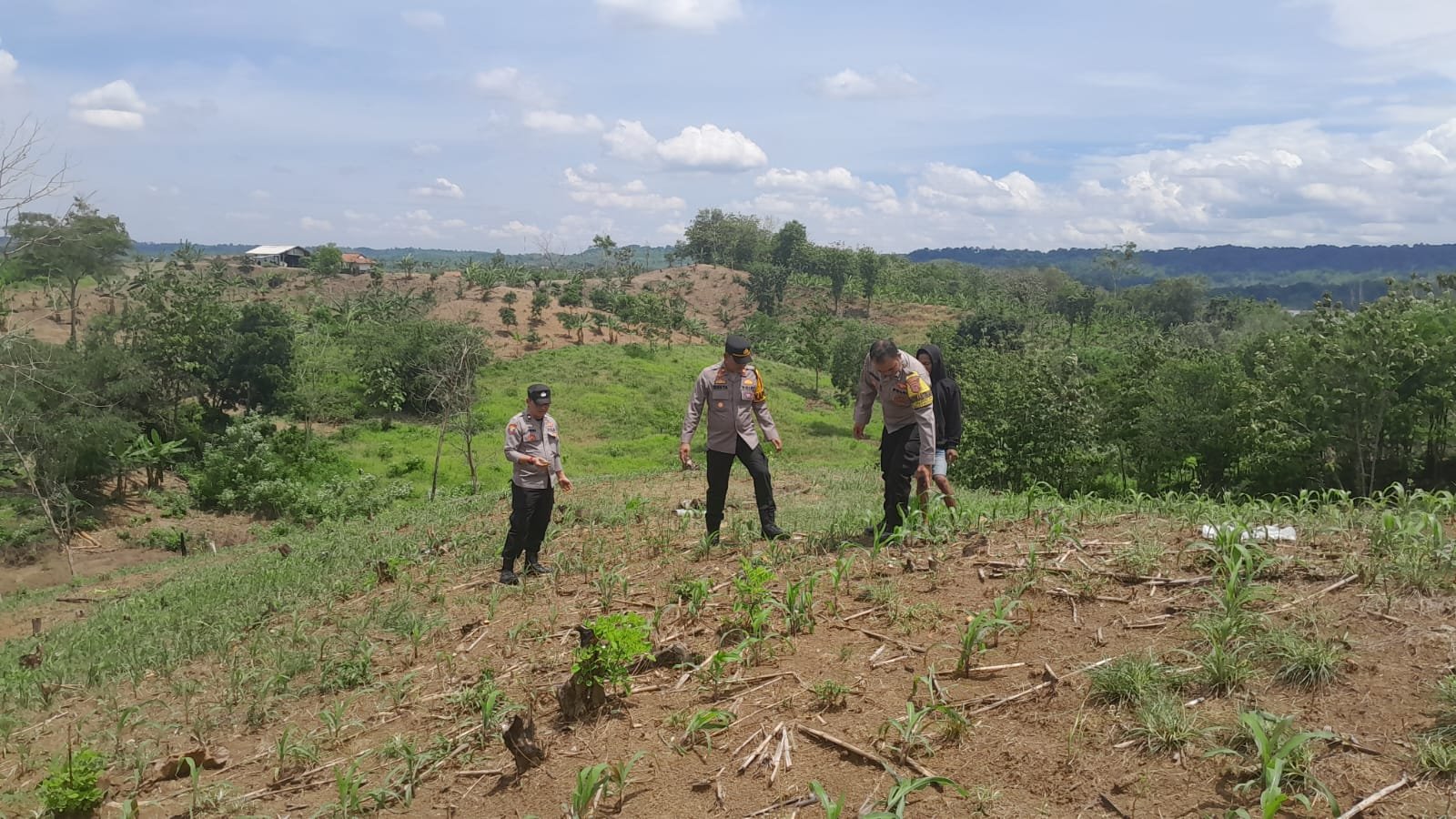 Polsek Jajaran Polres Subang Tinjau Lahan Ketahanan Pangan Dukung Program Polri